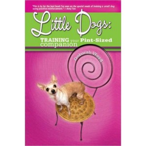 Training Your Pint-Sized Companion